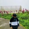 dioncok8