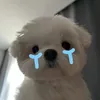 nk