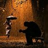 thesuddenrain