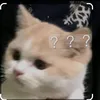 khanhngan_240