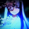 yozakura_tsubomi