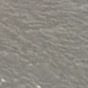 grayxppw