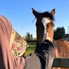 fatima.fatima0082