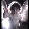 shm.shm.31.31