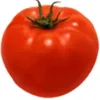 pomidoro28