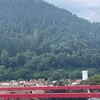 nikitapahar0