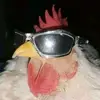 anomalisedunia