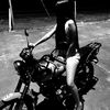 dariagny73