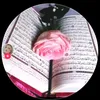 user42423271173173