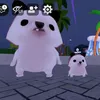 rhycapmaireal_12