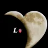 lamalmlm_20