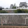 user78183909660198