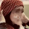fz6_3