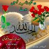 sajjad.hussain.gas