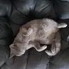 dan_9128
