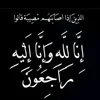 user9398155