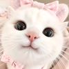 isti_705