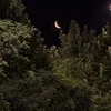 barxaa_05