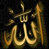 qurantv376