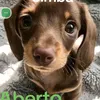 xsabrina.teixeira5