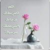 yasmen.moftah