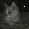 ahmed.sobhy807