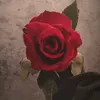..leekayy29