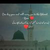 malikfaizan3106