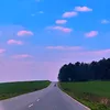 wiki772