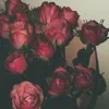 maryoulajer7a