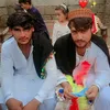 raman.khan2743