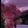 anvi_rajput86
