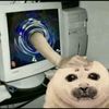 .cheesecakeseal