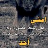 user3104632992181