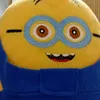 user_oiee2025