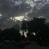 _d25.04