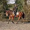 maddie.eq14