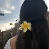 glendxs_08