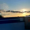 elaelamii