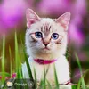 evgeniy1697