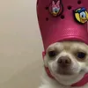 vafla_men67