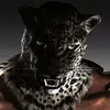 darkzzkill