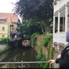 shahdalmosa2