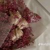 zaynabmohammad8
