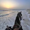 maussa.ahmed65