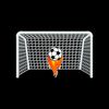 goalframe1