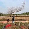 thnhnguyn0108