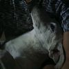 user300712692
