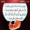 user6751241541051