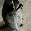 zunthejjk_fan69